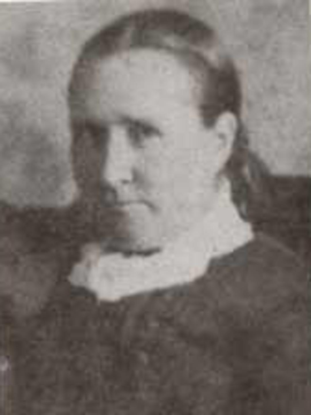 Charlotte Jane Rowe (1848 - 1936) Profile